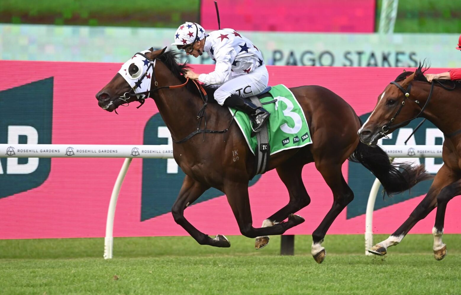 2024 Pago Pago Stakes winner Dublin Down