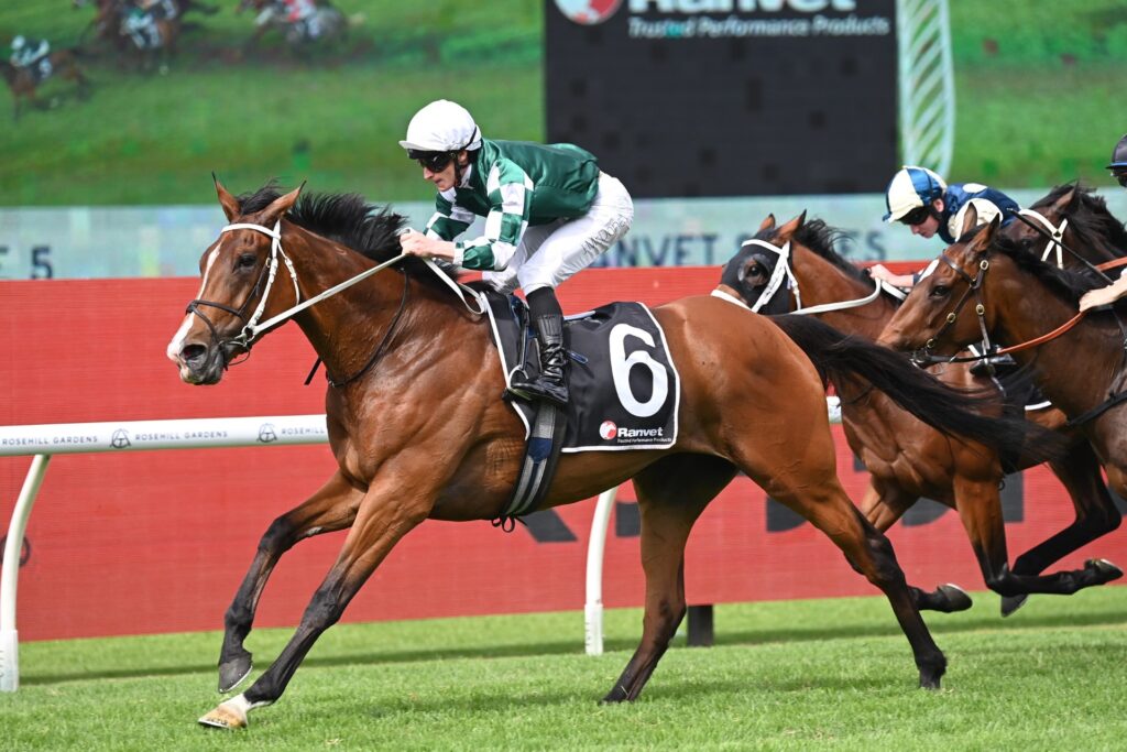 2024 Ranvet Stakes winner Via Sistina