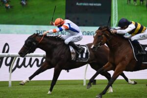 2024 George Ryder Stakes winner Veight