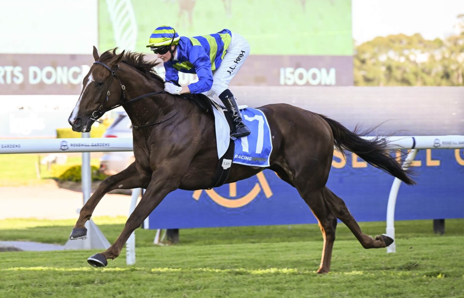 2024 Doncaster Prelude winner Another Wil