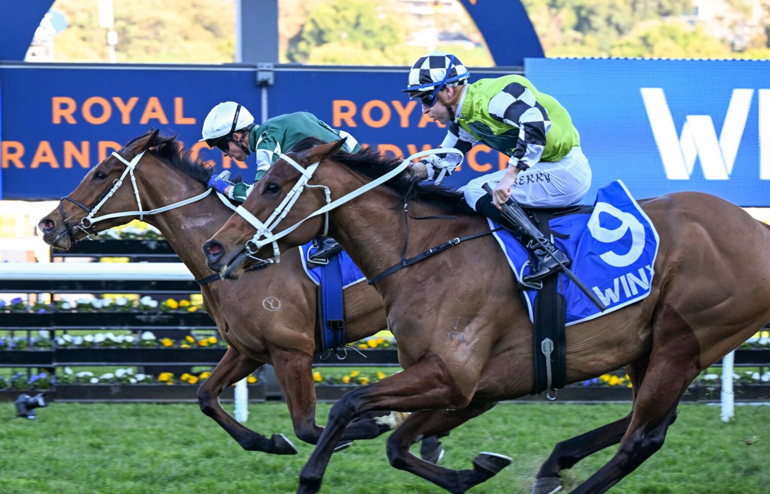 Via Sistina (inside) won the 2024 Winx Stakes first-up at Randwick