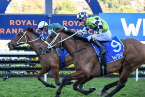 Via Sistina (inside) won the 2024 Winx Stakes first-up at Randwick