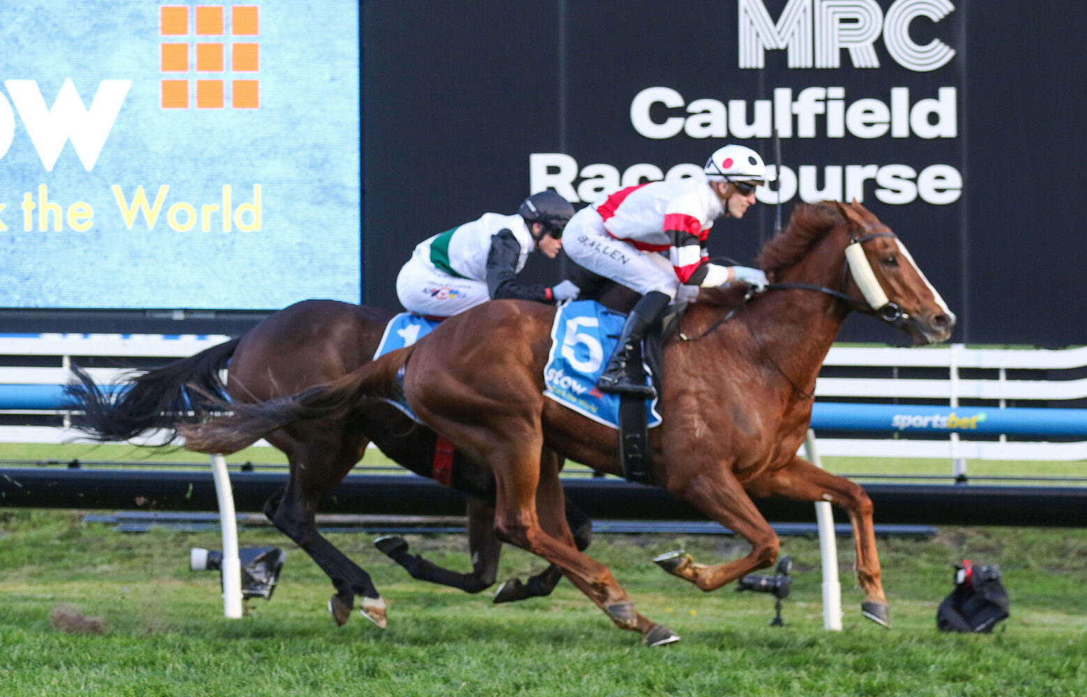 2024 Memsie Stakes winner Pinstriped