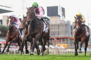 2024 AJ Moir Stakes winner Mornington Glory