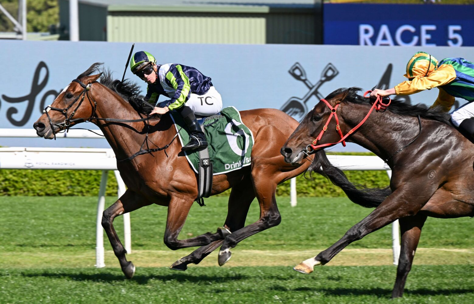 2024 Kingston Town Stakes winner Eliyass