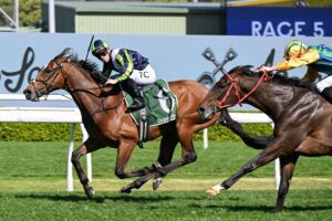 2024 Kingston Town Stakes winner Eliyass