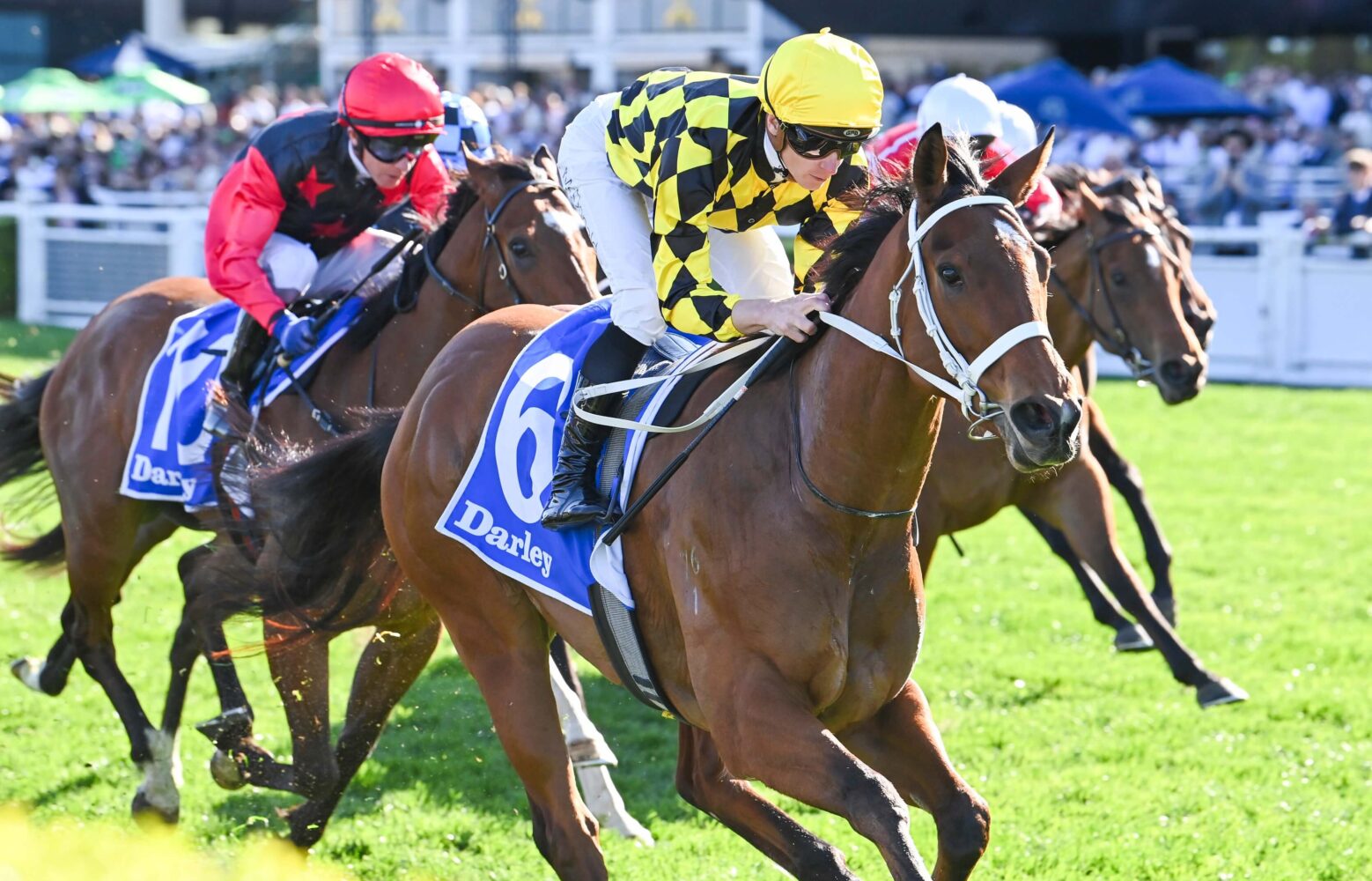 2024 Tea Rose Stakes winner Autumn Glow