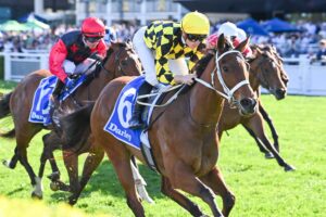 2024 Tea Rose Stakes winner Autumn Glow