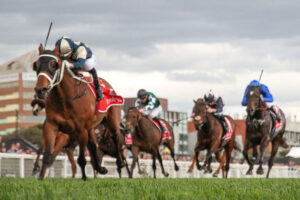 2025 Melbourne Cup Horses: Buckaroo