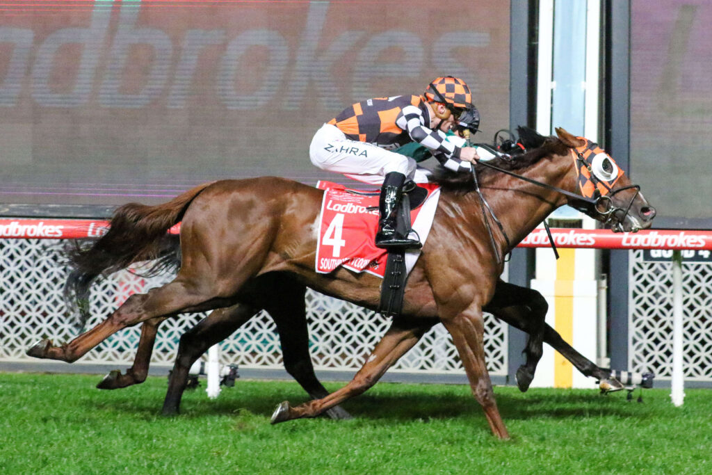 2024 Manikato Stakes winner Southport Tycoon