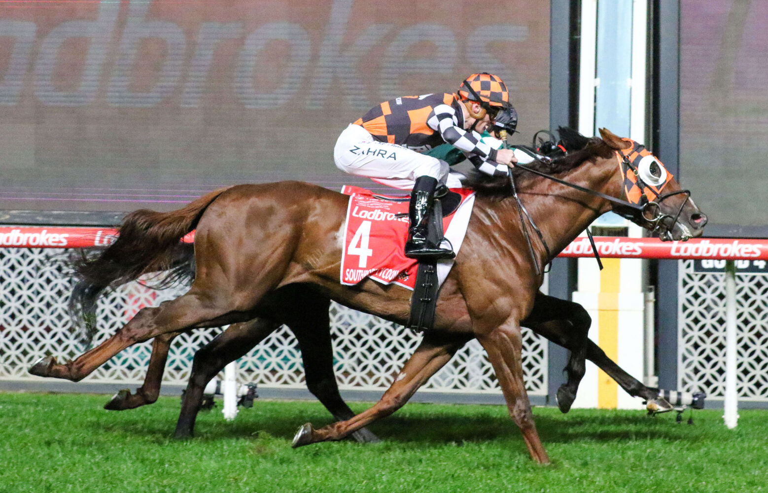 2024 Manikato Stakes winner Southport Tycoon