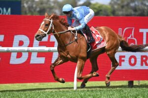 2024 Colin Stephen Quality winner First Light