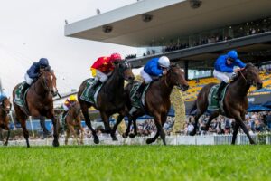 2024 Golden Rose Stakes winner Broadsiding