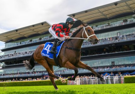2026 Sir Rupert Clarke Stakes Preview & Tips: Lady Shenandoah