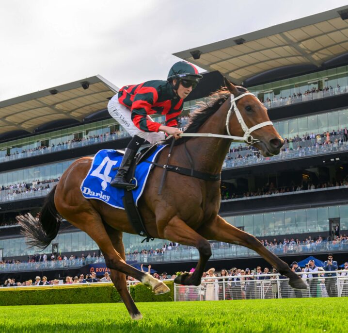 2026 Sir Rupert Clarke Stakes Field Preview, Tips & Best Bets