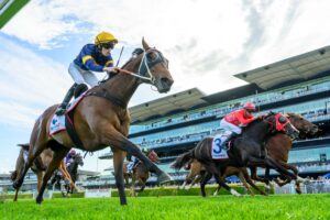 2024 Premiere Stakes winner Airman