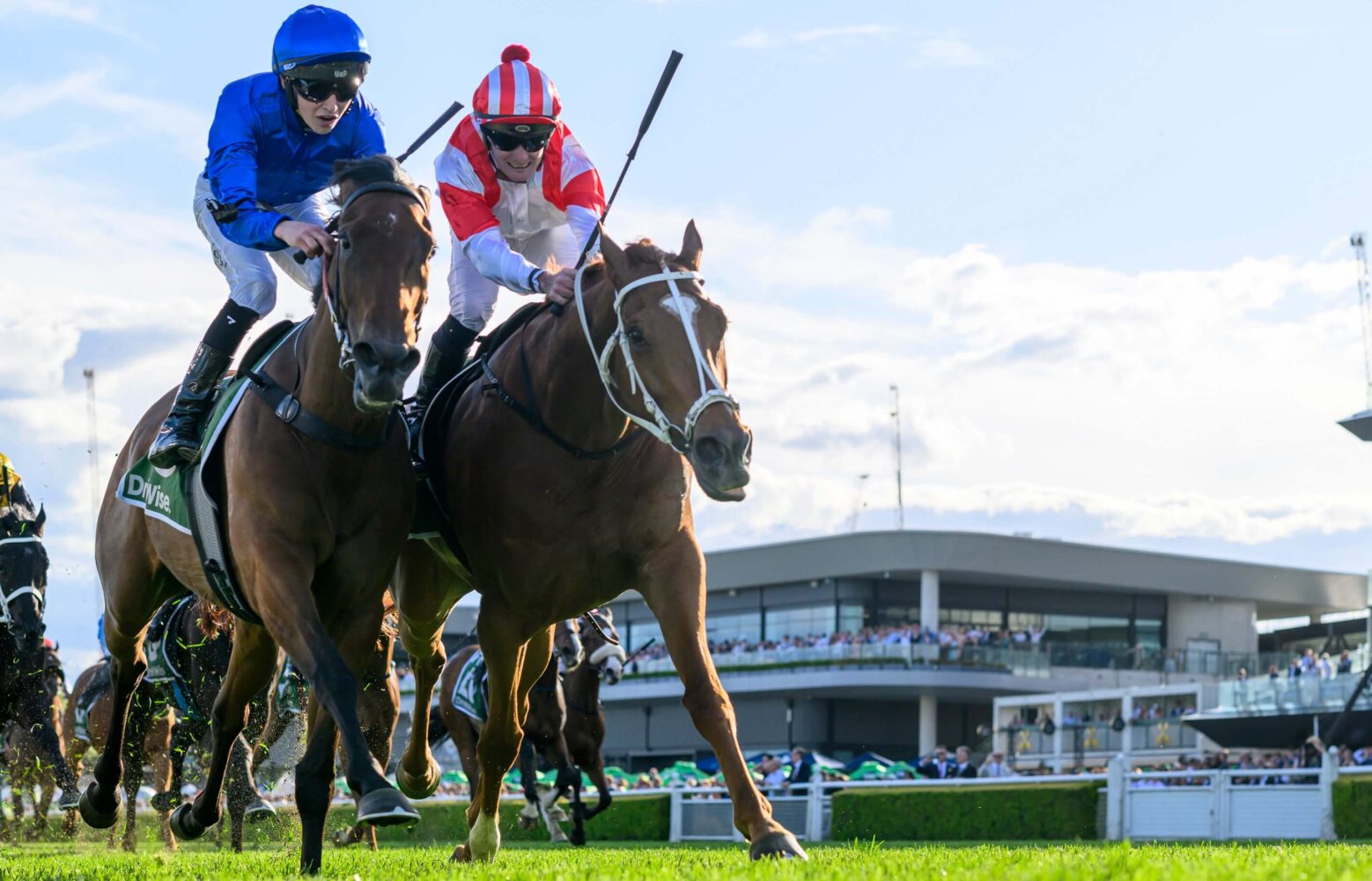 2024 The Metropolitan winner Land Legend