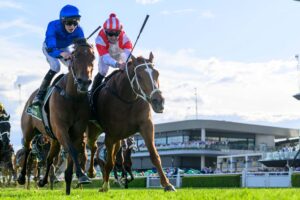 2024 The Metropolitan winner Land Legend