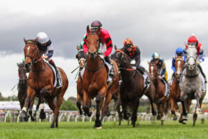 2024 The Bart Cummings winner Just Fine