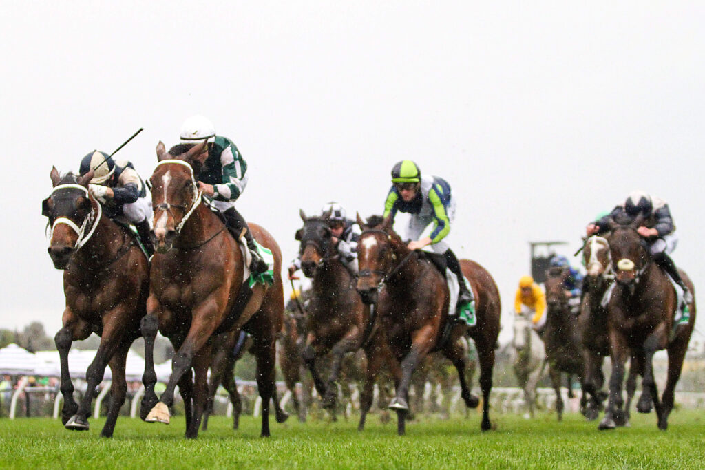 2024 Turnbull Stakes winner Via Sistina