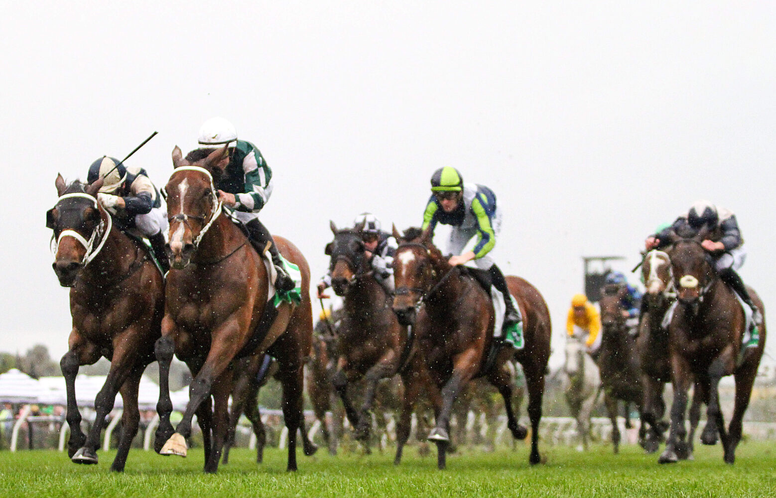 2024 Turnbull Stakes winner Via Sistina