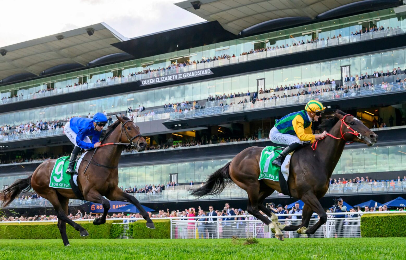 2024 Epsom Handicap winner Ceolwulf