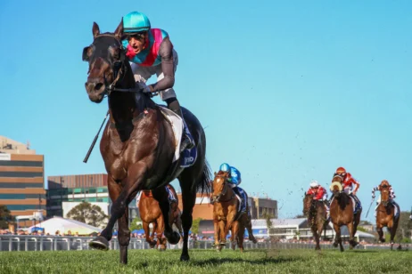 2024 Toorak Handicap winner Antino