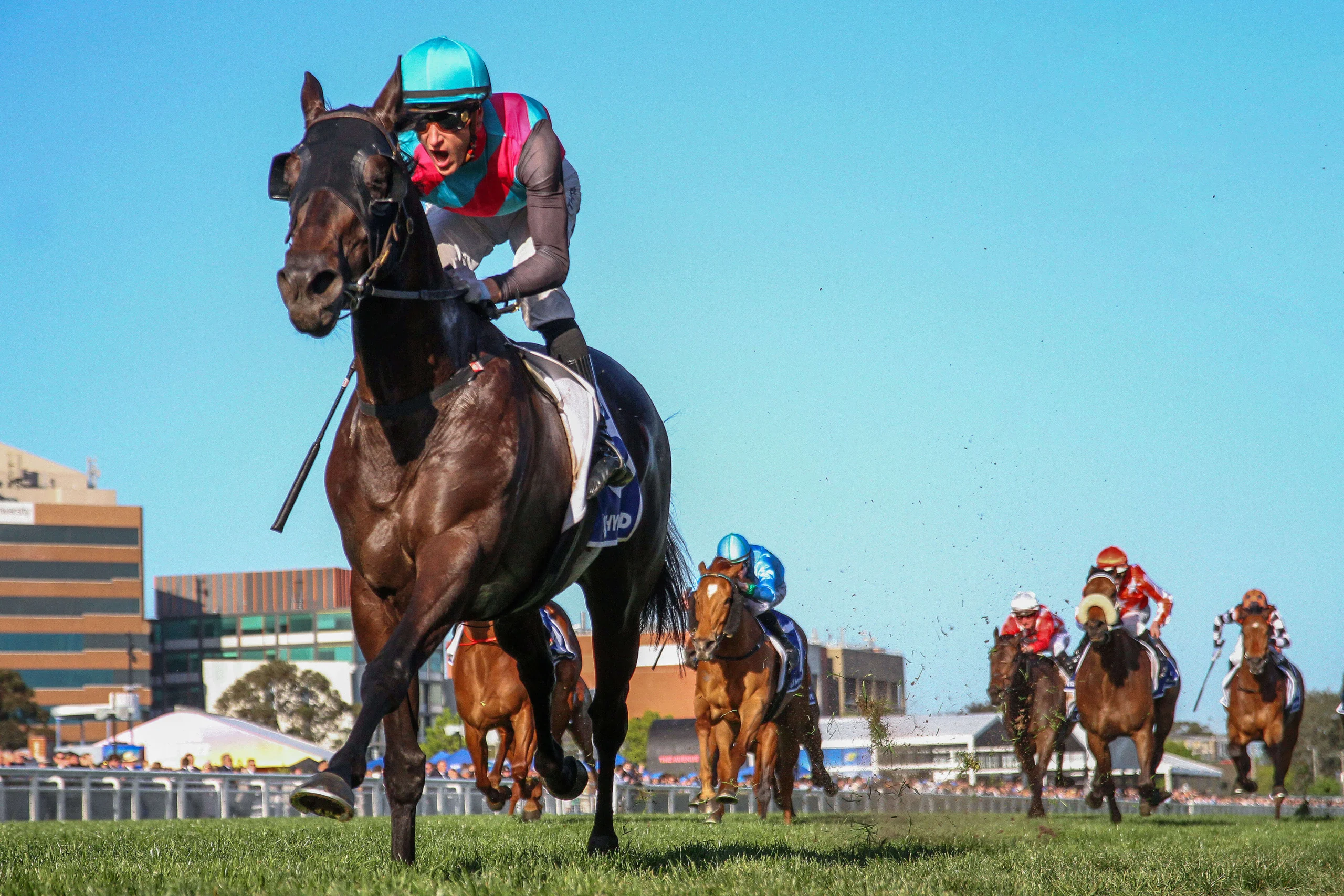 2024 Toorak Handicap winner Antino