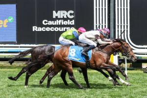 2024 Caulfield Classic winner Kingofwallstreet