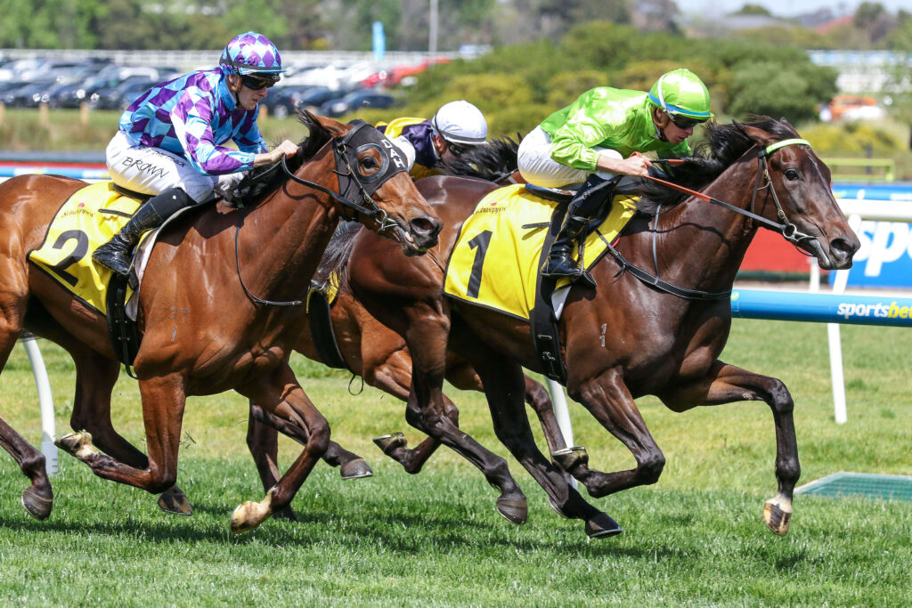 2024 Ethereal Stakes winner Too Darn Discreet