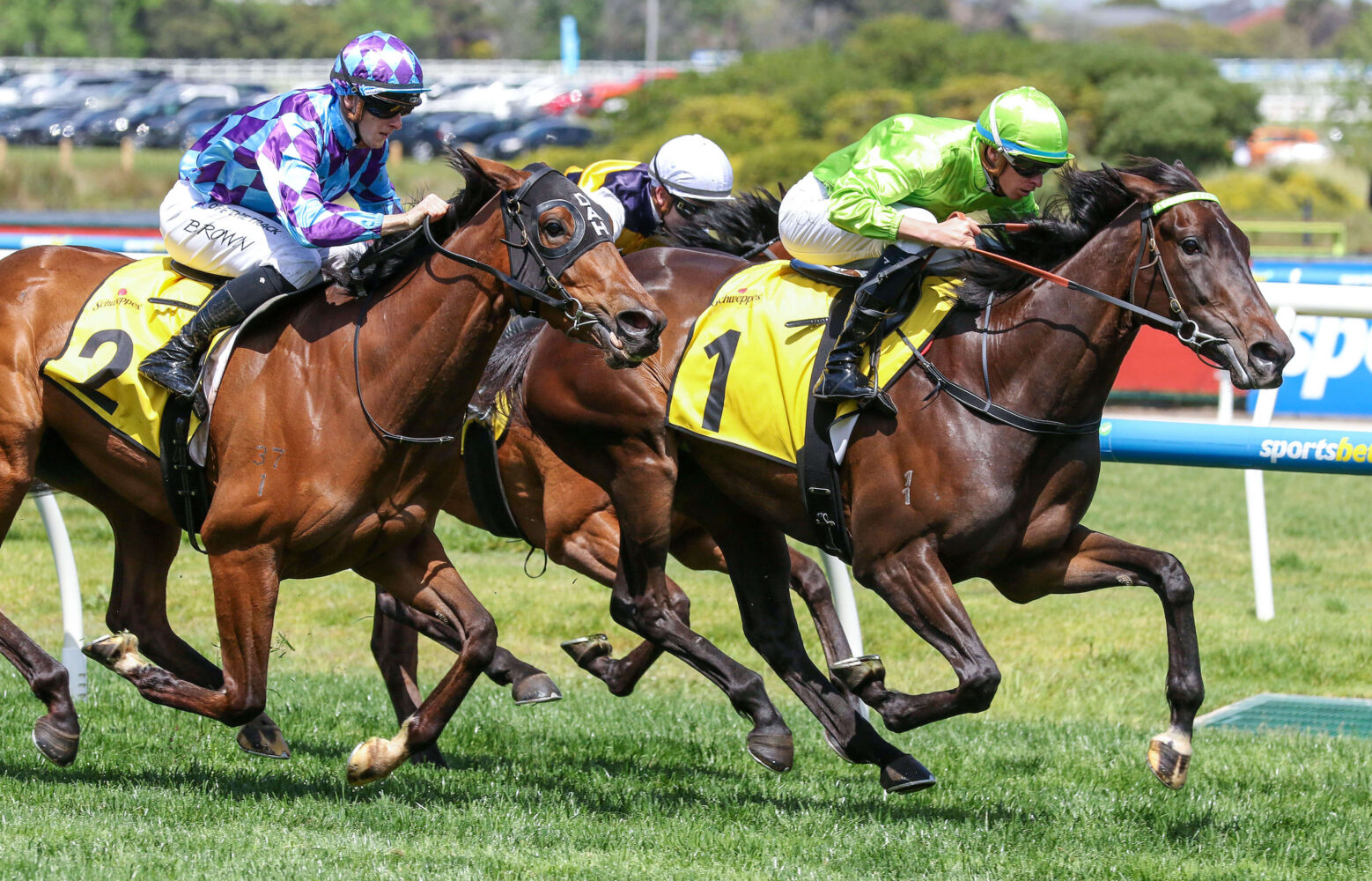 2024 Ethereal Stakes winner Too Darn Discreet