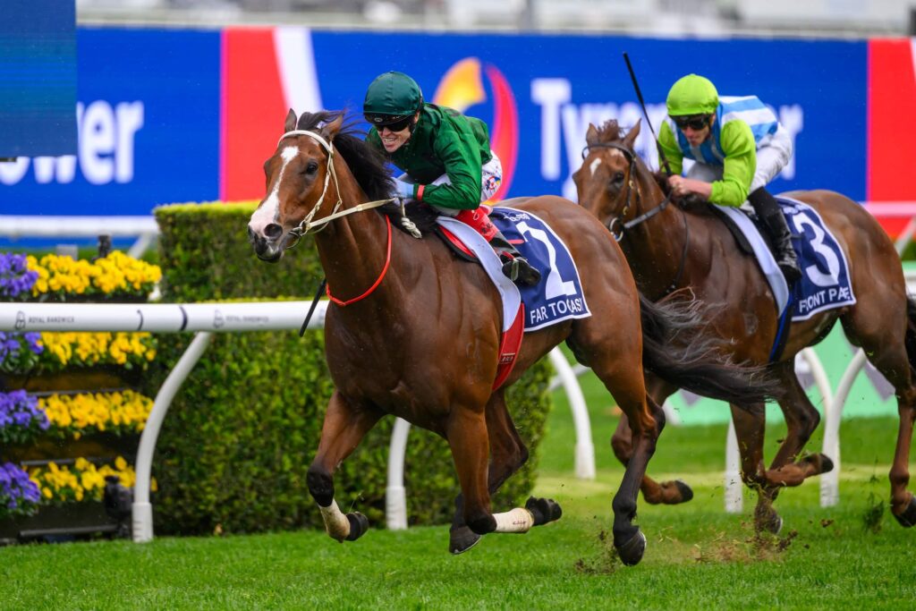 2024 The Kosciuszko winner Far Too Easy