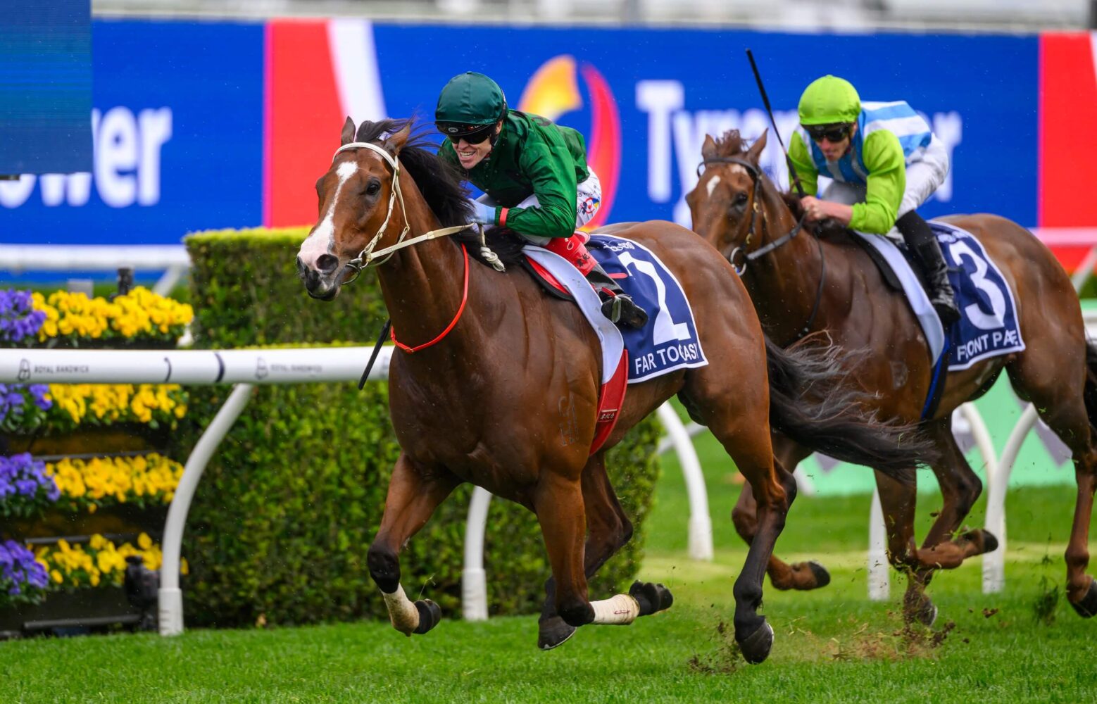 2024 The Kosciuszko winner Far Too Easy