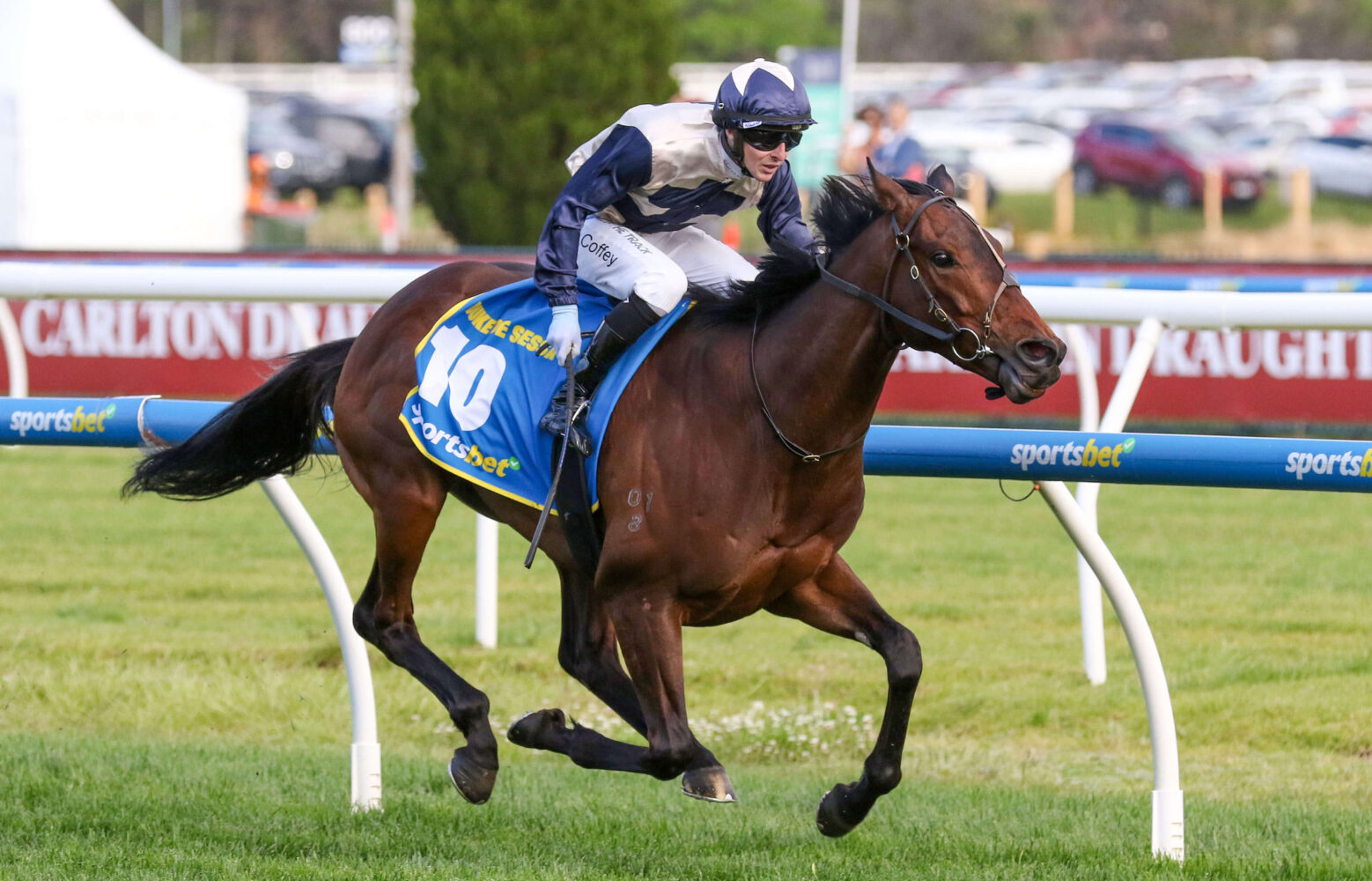 2024 Caulfield Cup winner Duke De Sessa
