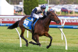2024 Caulfield Cup winner Duke De Sessa