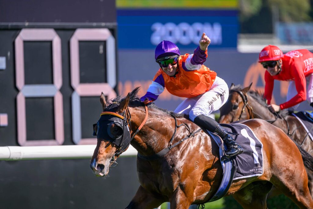 2024 Spring Champion Stakes winner El Castello