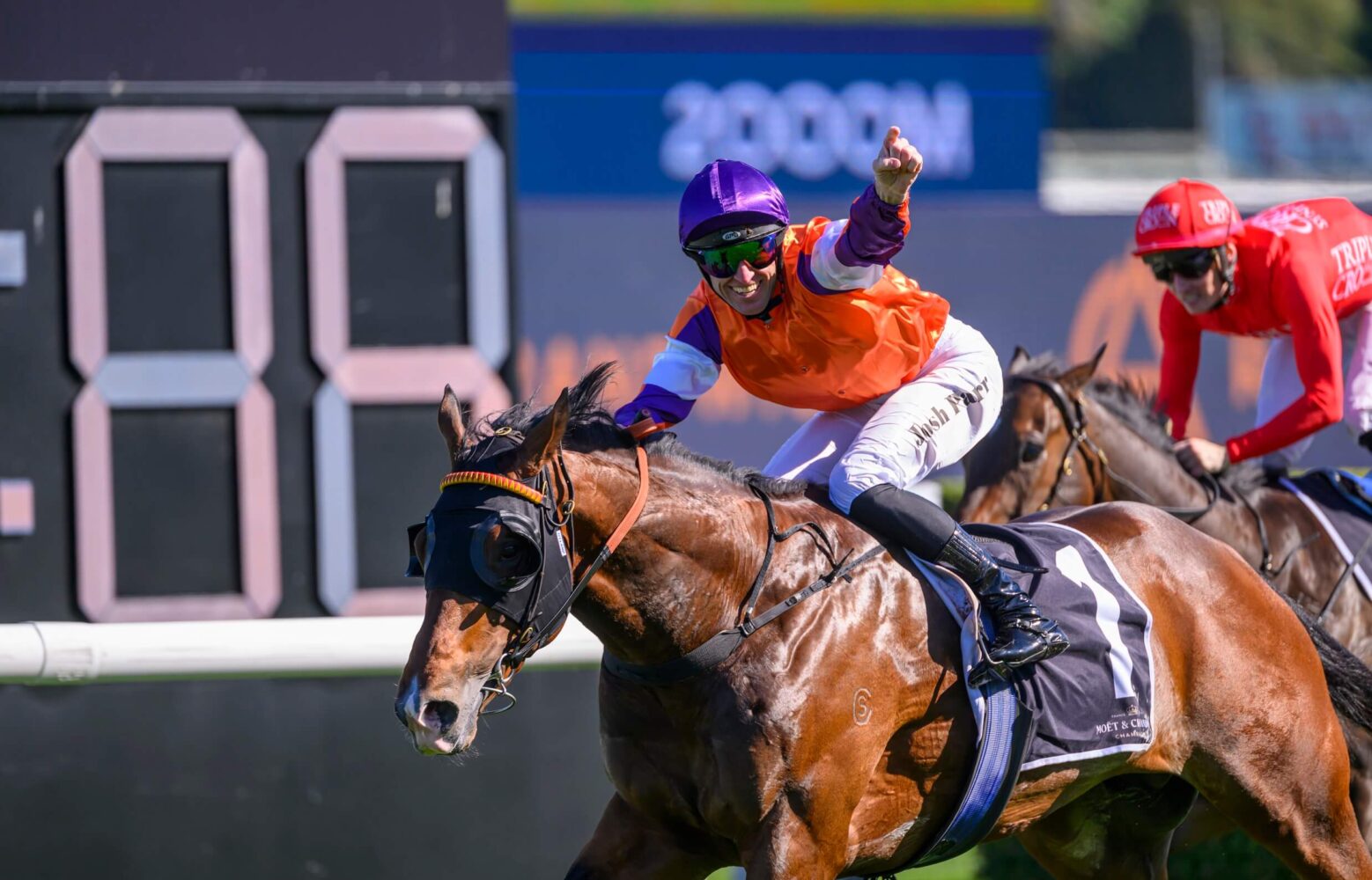 2024 Spring Champion Stakes winner El Castello