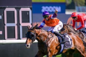 2024 Spring Champion Stakes winner El Castello