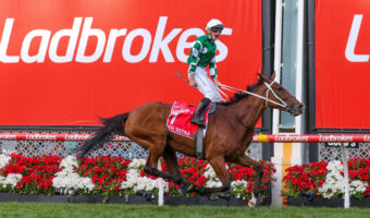 Cox Plate Odds 2026: Aeliana & Sir Delius Headline Late Market Moves as Big Bets Roll In