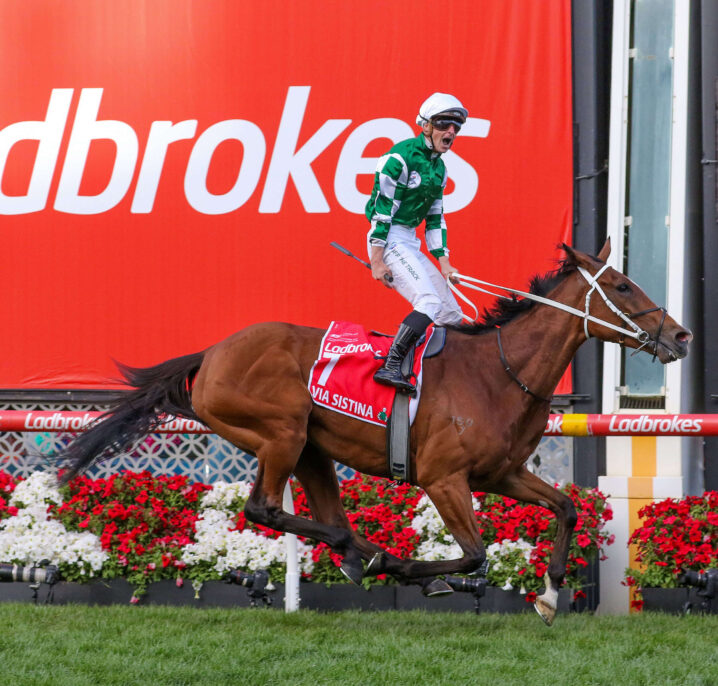 Cox Plate Odds 2026: Aeliana & Sir Delius Headline Late Market Moves as Big Bets Roll In