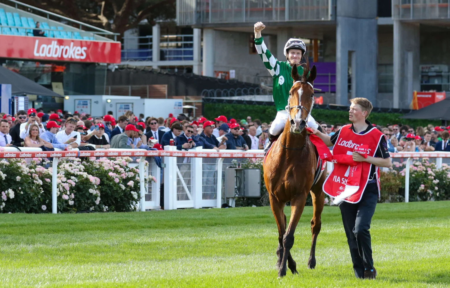 2024 Ladbrokes Cox Plate winning mare Via Sistina