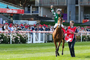 2024 Ladbrokes Cox Plate winning mare Via Sistina