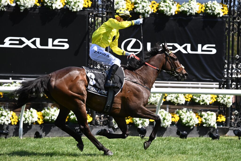 2023 Melbourne Cup winner Without a Fight