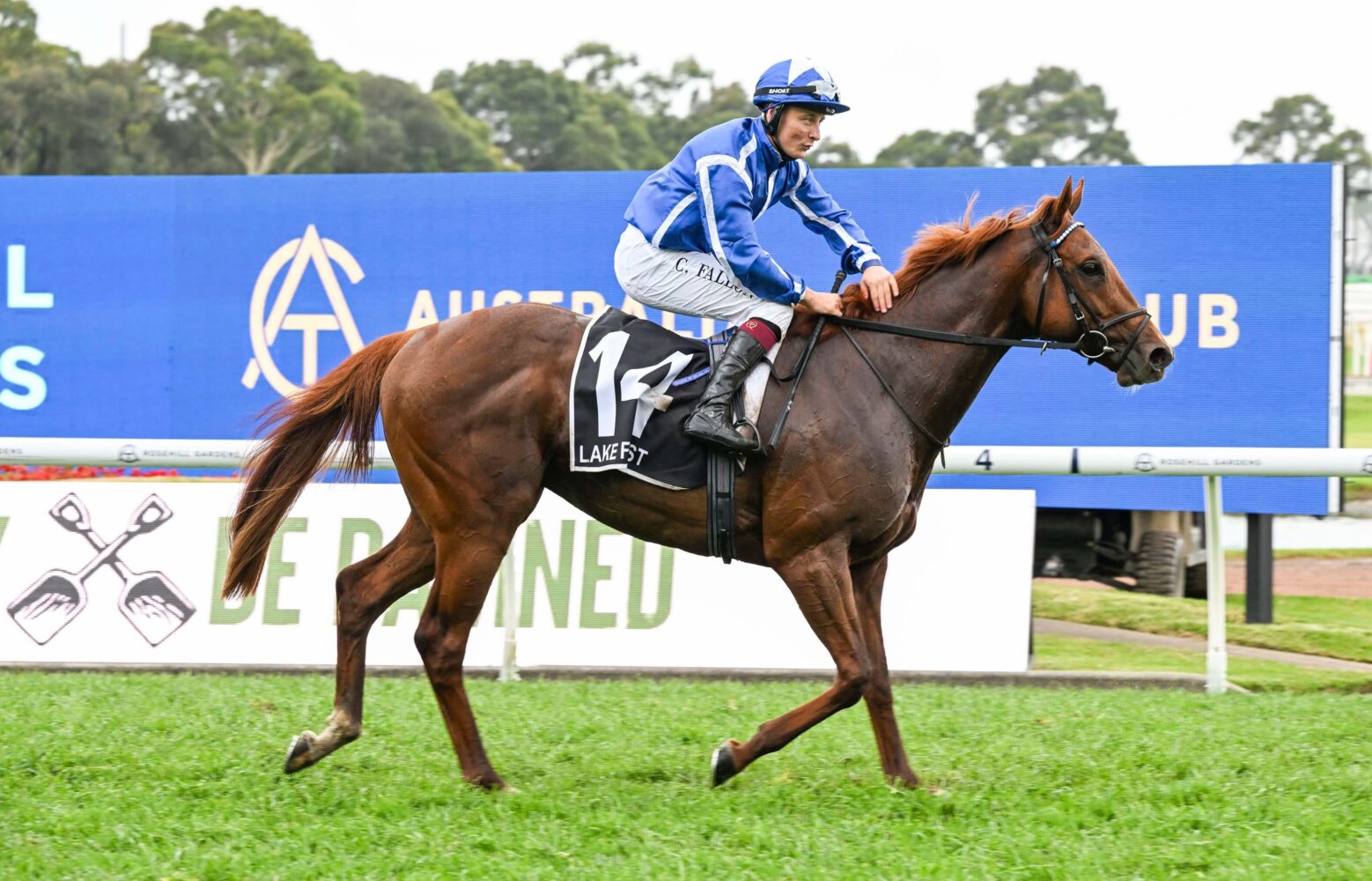 2024 Golden Eagle winner Lake Forest