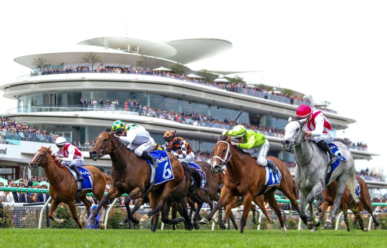 Sunshine In Paris winning the 2024 Champions Sprint