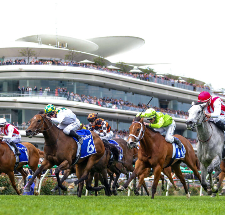 Ladbrokes Doomben 10,000 2025 Winner Sunshine In Paris Beats Rothfire