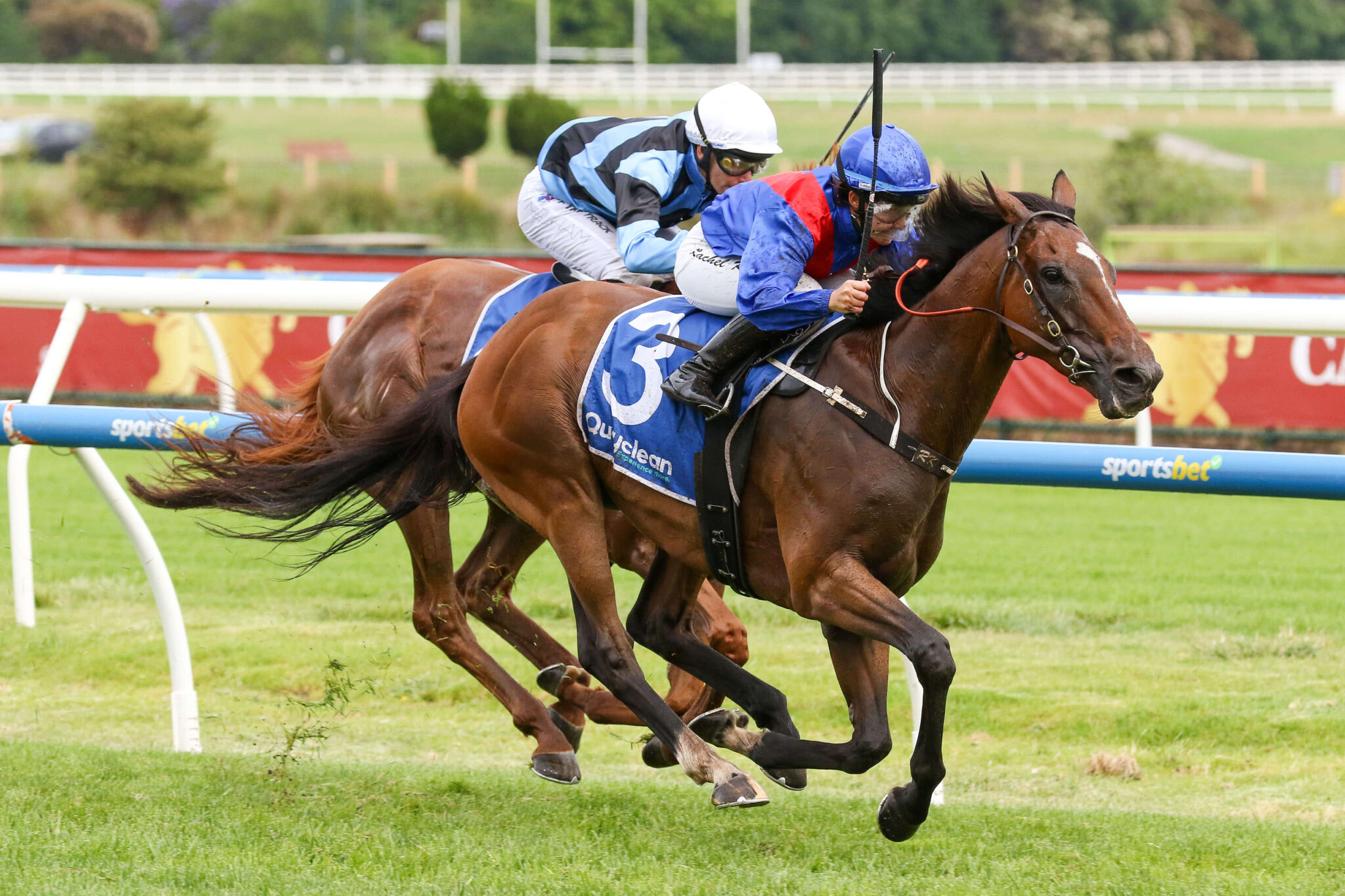 New South Wales Racecourses Sydney & Country NSW New South Wales Racecourses Sydney & Country NSW