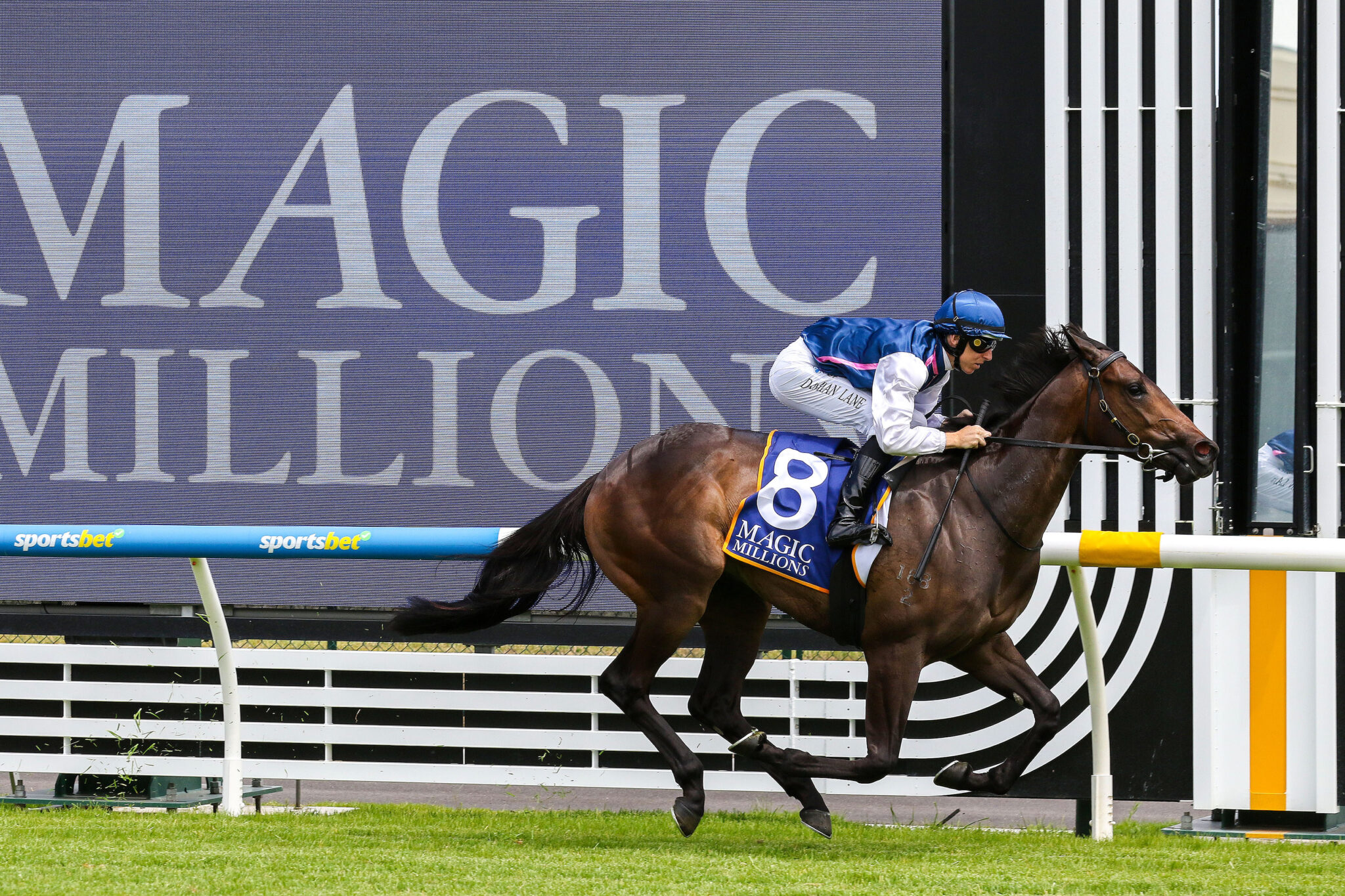 Storms See 2025 Magic Millions Races Abandoned, Rescheduled for Friday Night
