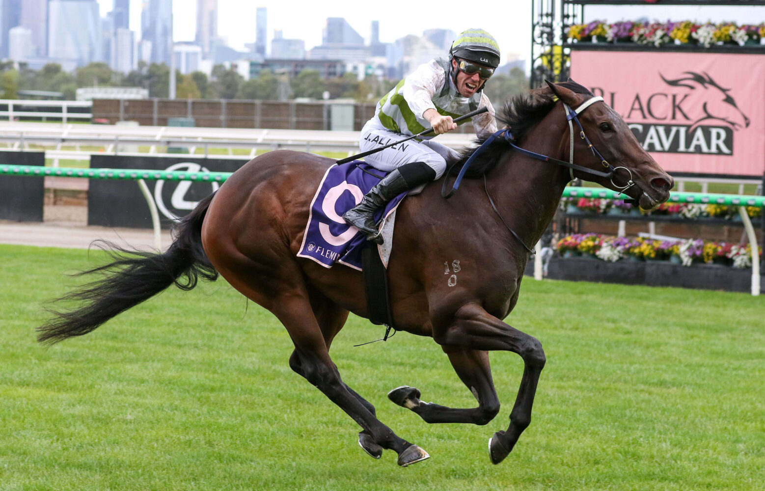 2025 Black Caviar Lightning winner Skybird