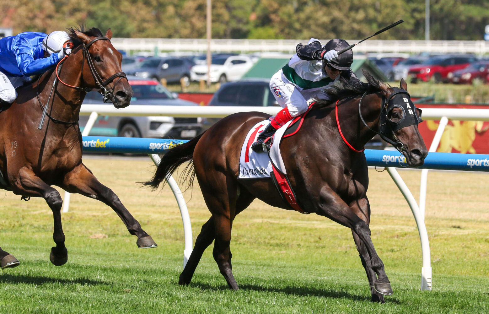 2025 Futurity Stakes winner Mr Brightside